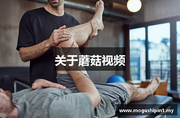 关于蘑菇视频